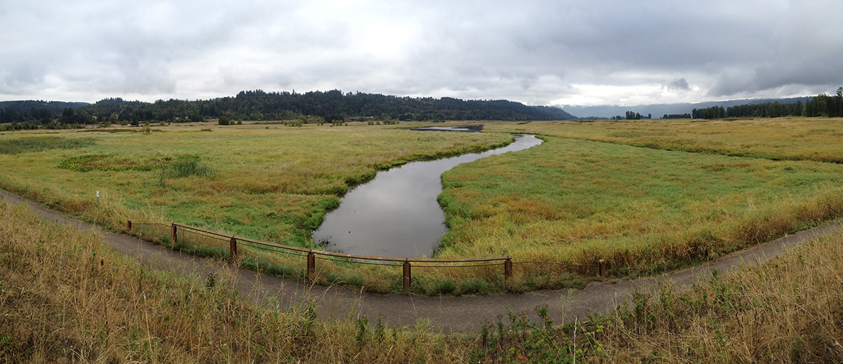 Gibbons Creek Alluvial Fan Restoration Project RFB Estuary Partnership